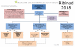 Association Ribinad organigramme Association Ribinad organigramme